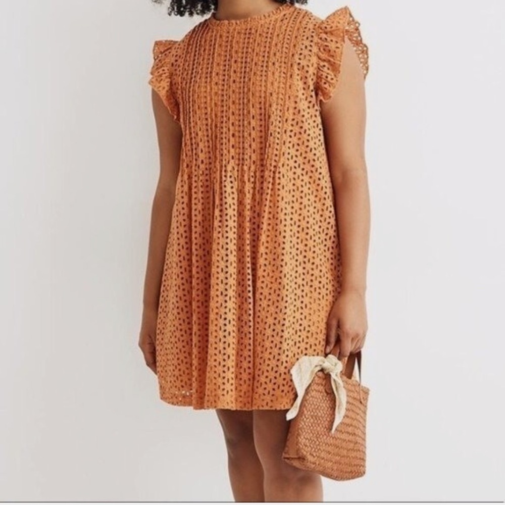 Madewell Eyelet Ruffle-Sleeve Pintuck Mini Dress in Mulled Cider